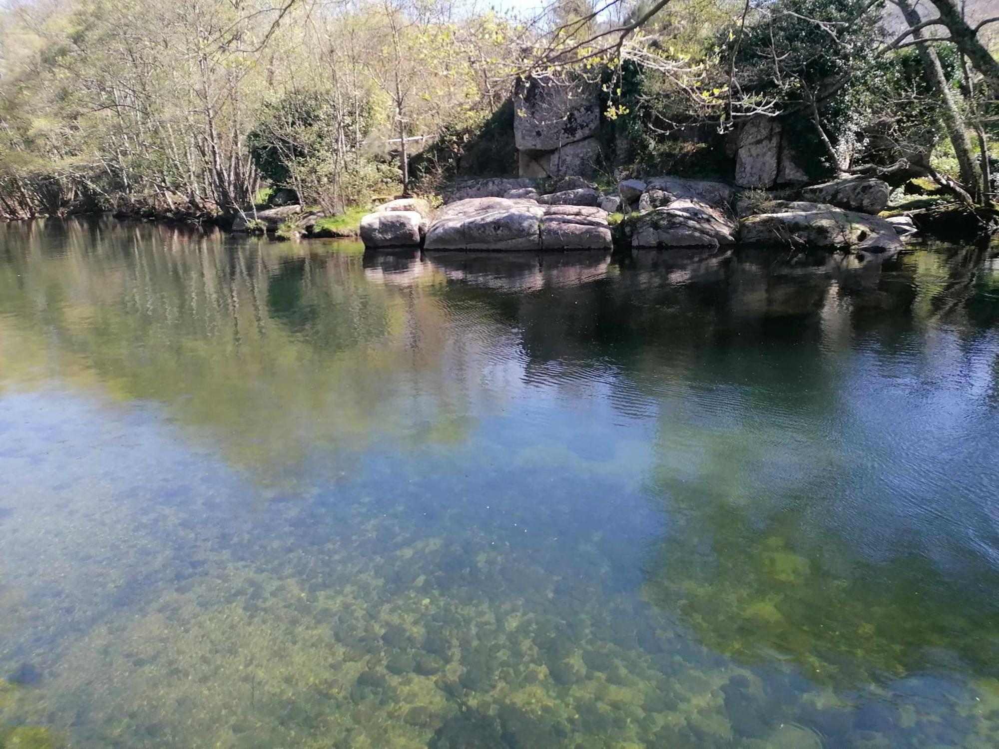 Quinta Do Moinho Turismo De Natureza Aldeia Vicosa Exteriér fotografie