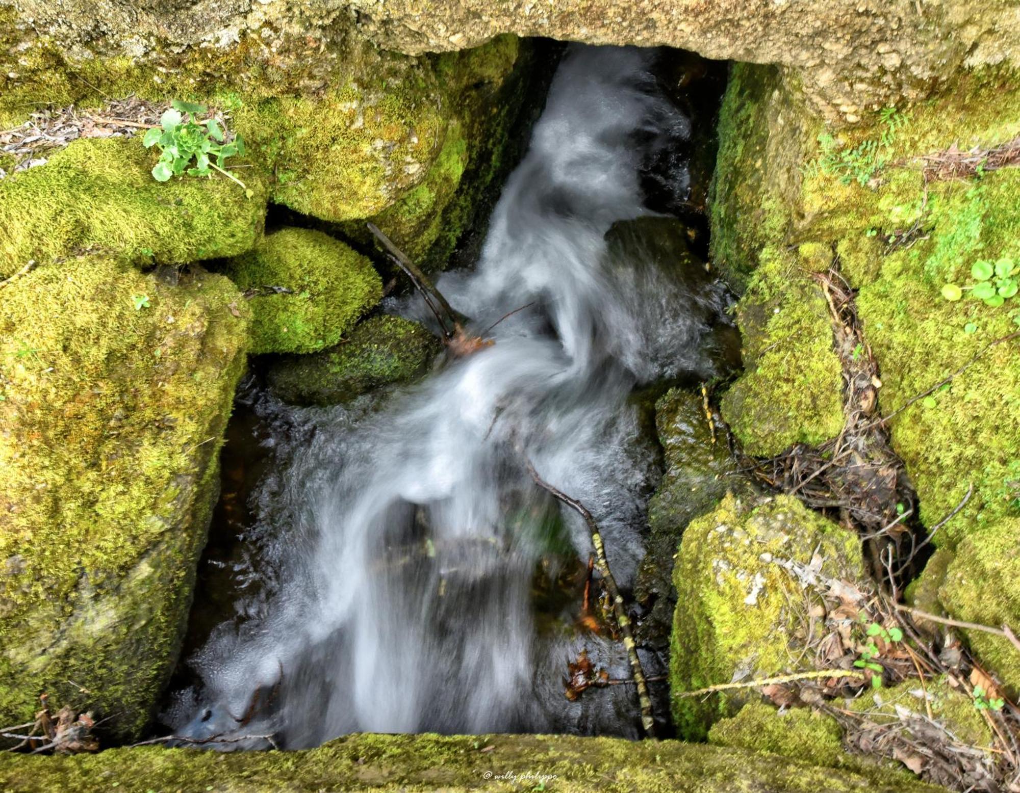 Quinta Do Moinho Turismo De Natureza Aldeia Vicosa Exteriér fotografie